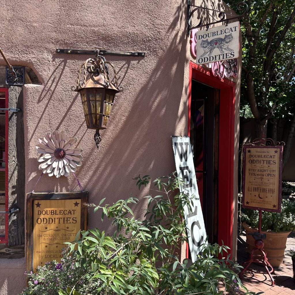 Doublecat Oddities' storefront in Albuquerque's Old Town neighborhood.